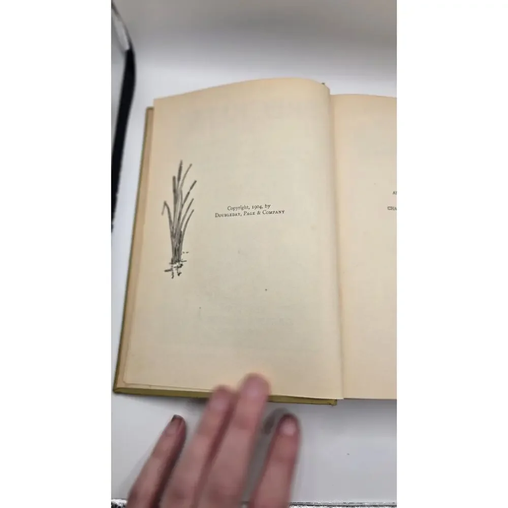 Vintage Hardcover FRECKLES by Gene Stratton-Porter, Illustrated 1904